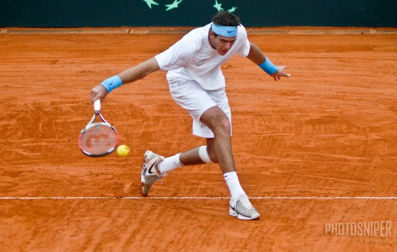 Juan Martín del Potro